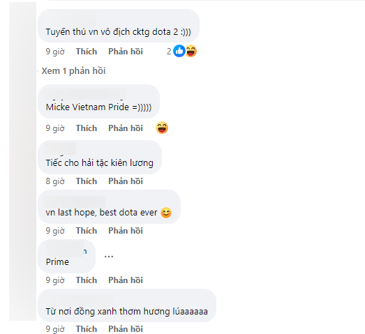 Vietnamese dota 2 audience has the opportunity to be proud